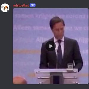 Discord bot @rolstoelkat die een video stuurt van Mark Rutte
            die het woord soep zegt tijdens een persconferentie